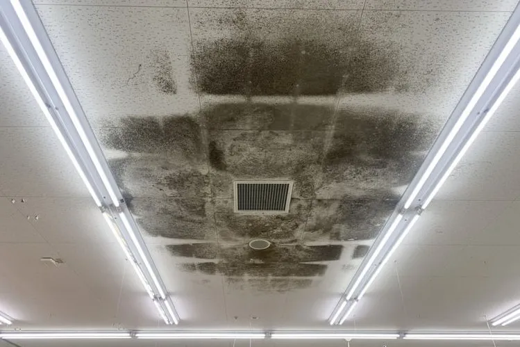 栃木県のスーパー