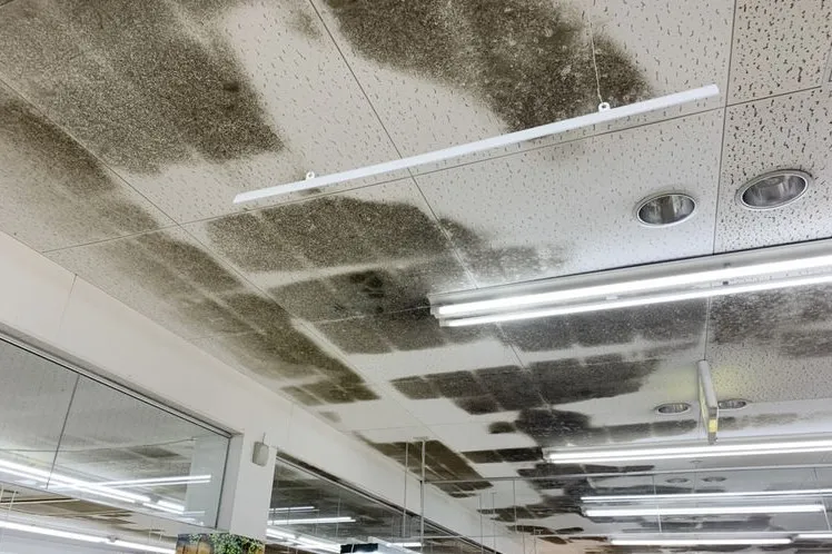 長野県のスーパー