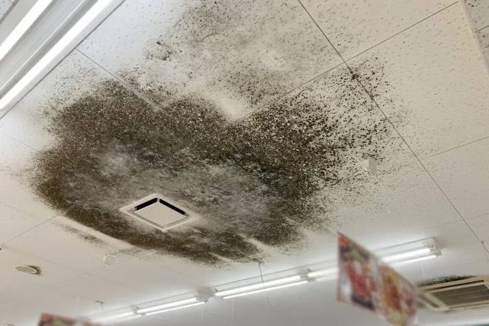 長野県のスーパー