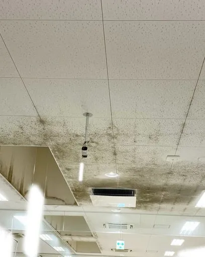 愛知県スーパー