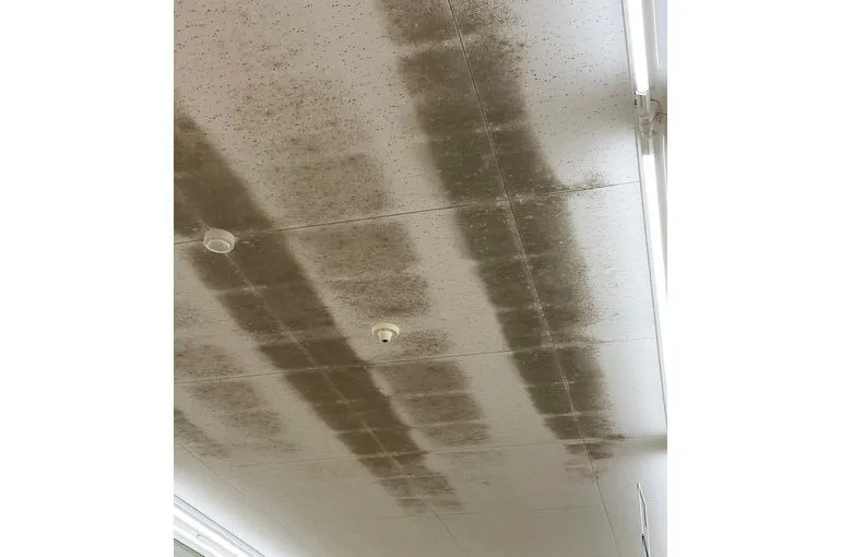 岐阜県のスーパー