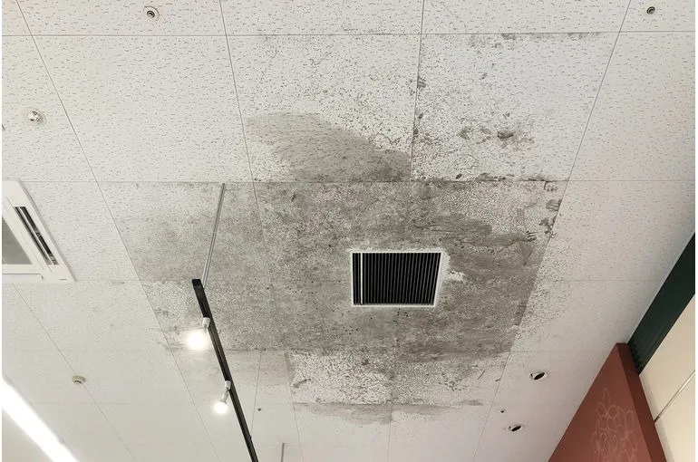 青森県のスーパー