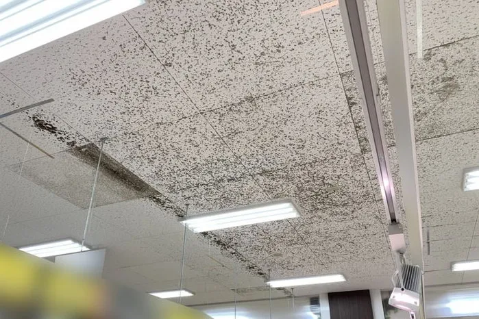 茨城県のディスカウントストア