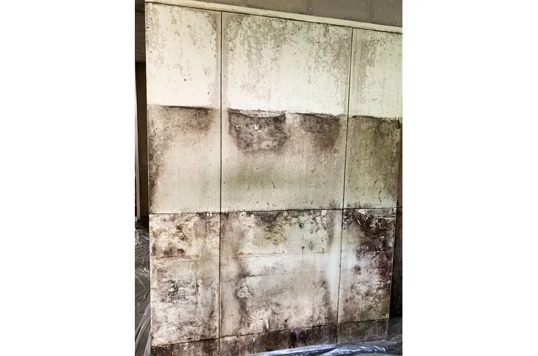 熊本県のスーパーの業務用冷蔵庫の壁