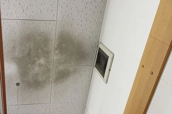 熊本県のスーパー