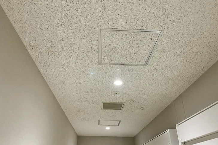 千葉県の食品加工工場