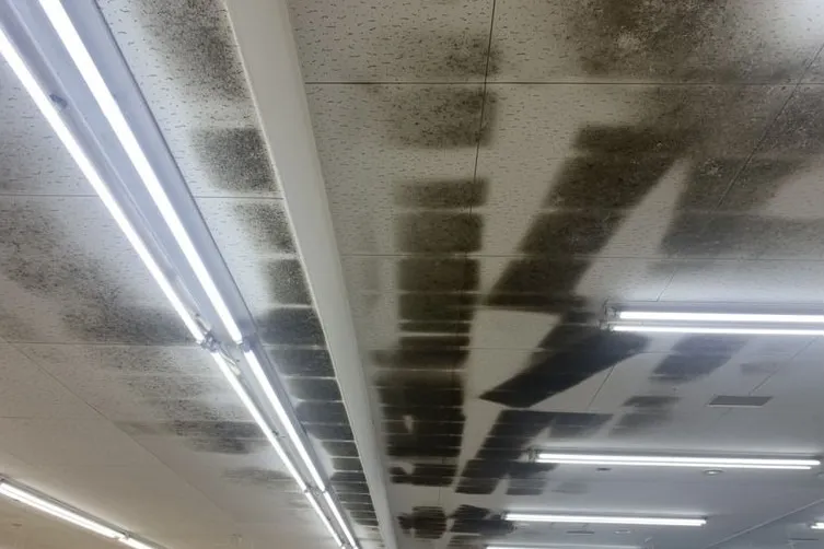 長野県のスーパー