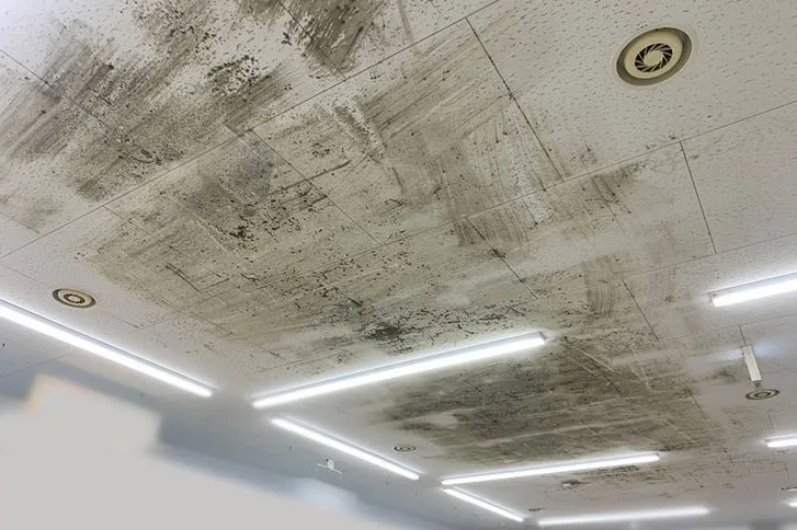 静岡県のドラッグストア