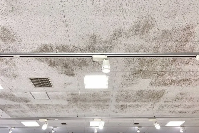 青森県のスーパー