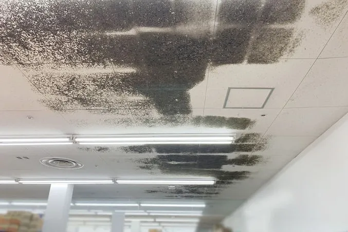 埼玉県のディスカウントストア