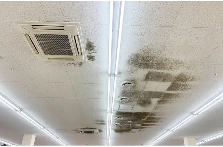 千葉県のスーパー