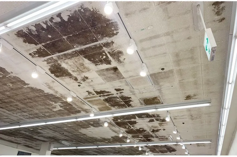 東京都のスーパー