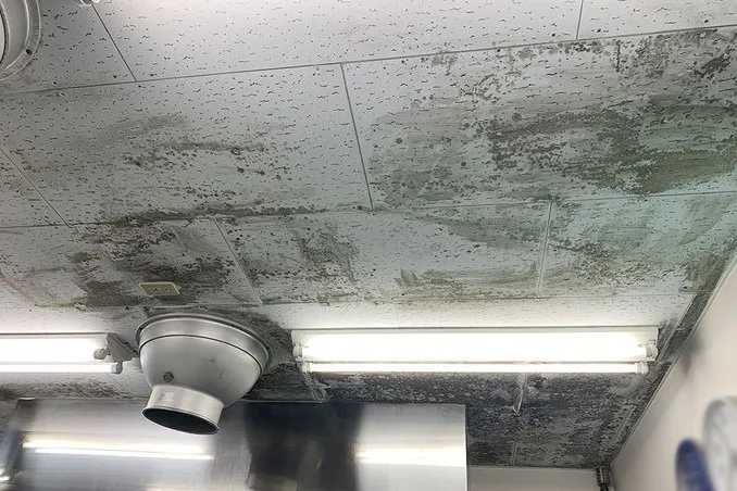 佐賀県のスーパー