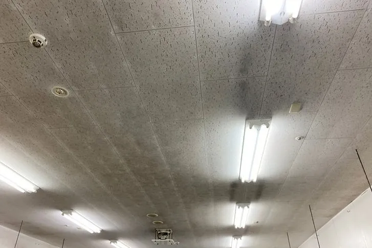 長崎県のスーパー