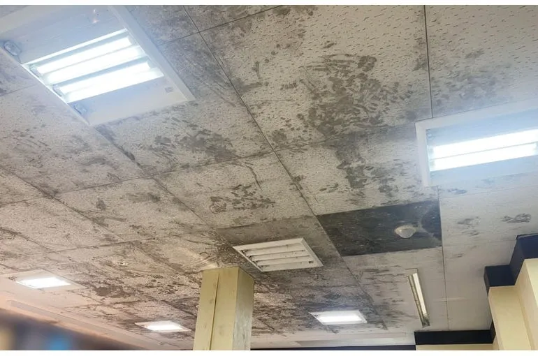 愛媛県のスーパー