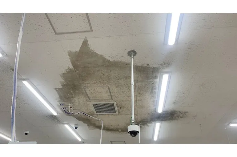 東京都のスーパー