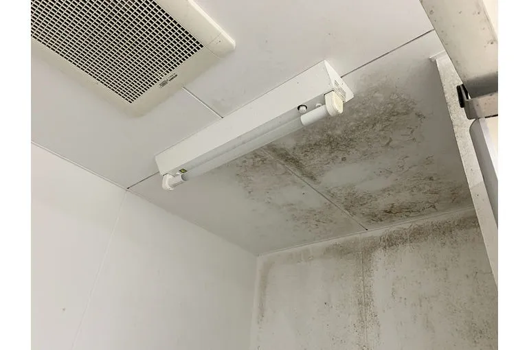 長崎県のホームセンター