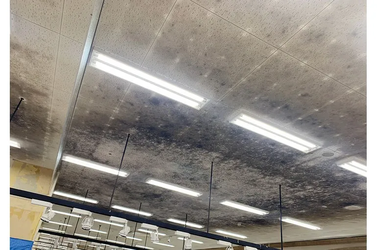 福岡県のスーパー