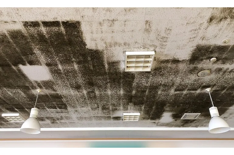 青森県のスーパー