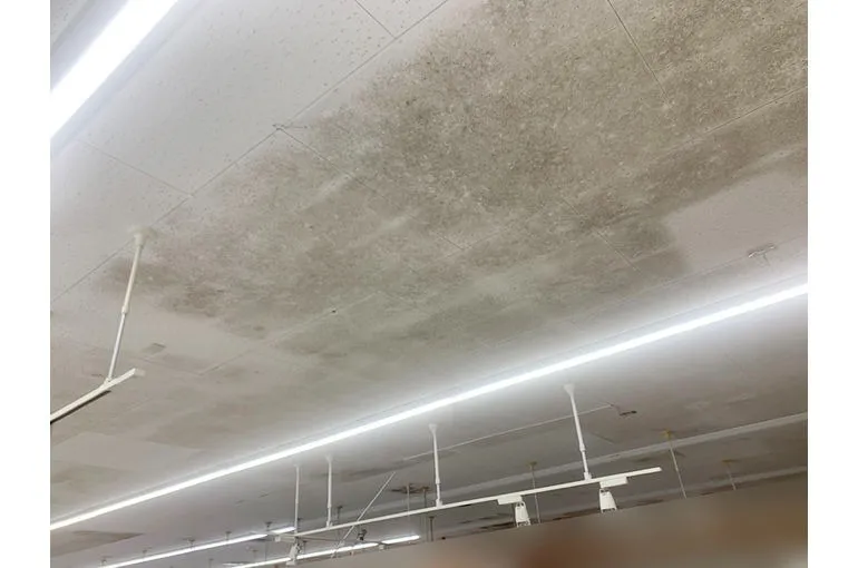 佐賀県のスーパー