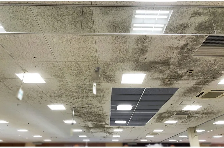 秋田県のスーパー