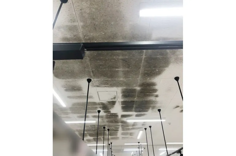 高知県のスーパー