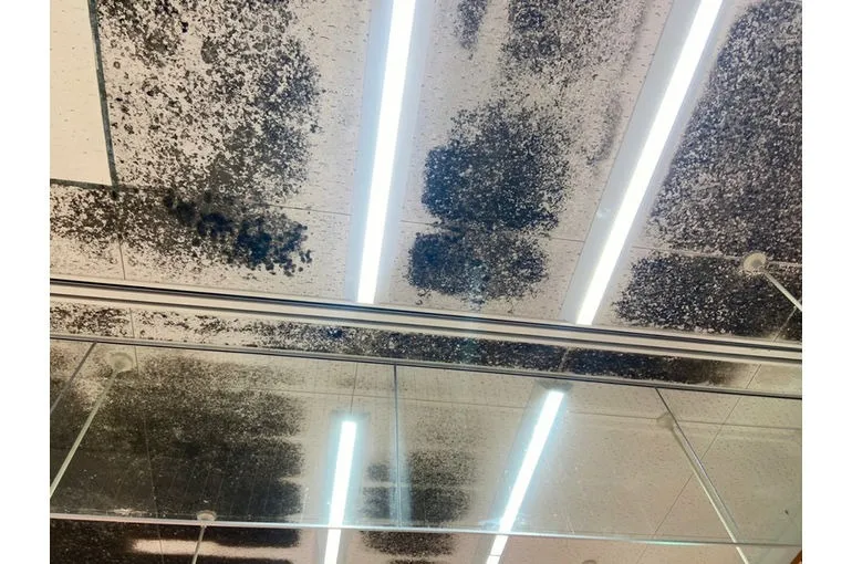 愛媛県のドラッグストア