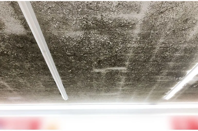 岩手県のドラッグストア