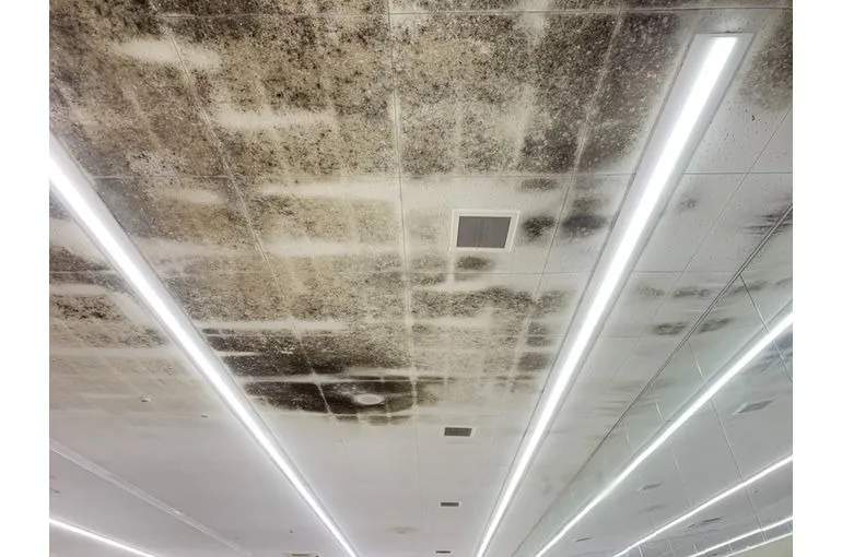 千葉県のドラッグストア