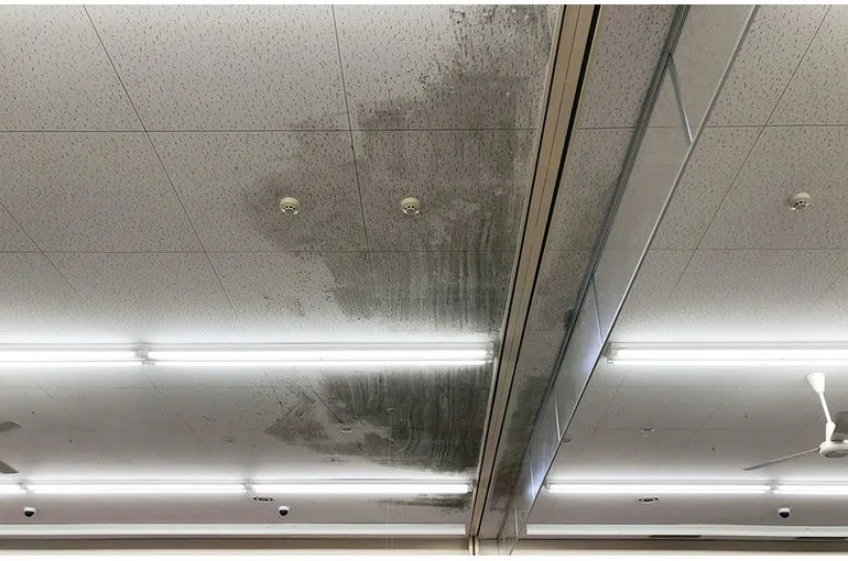 青森県のスーパー