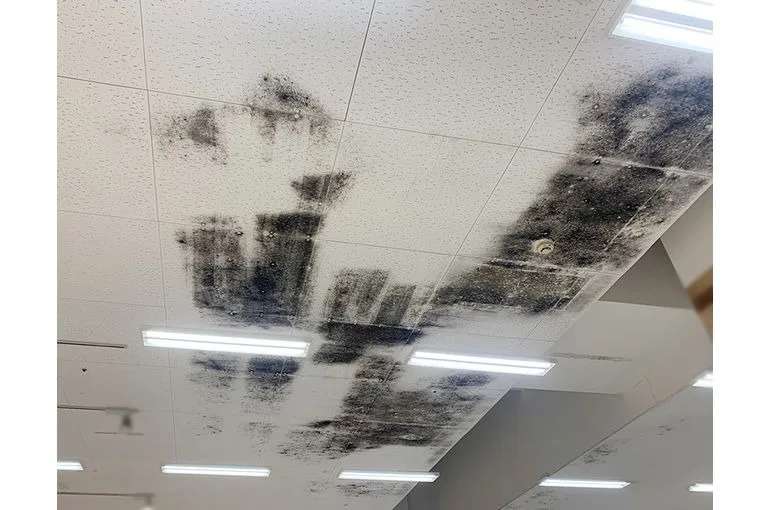 福岡県のスーパー