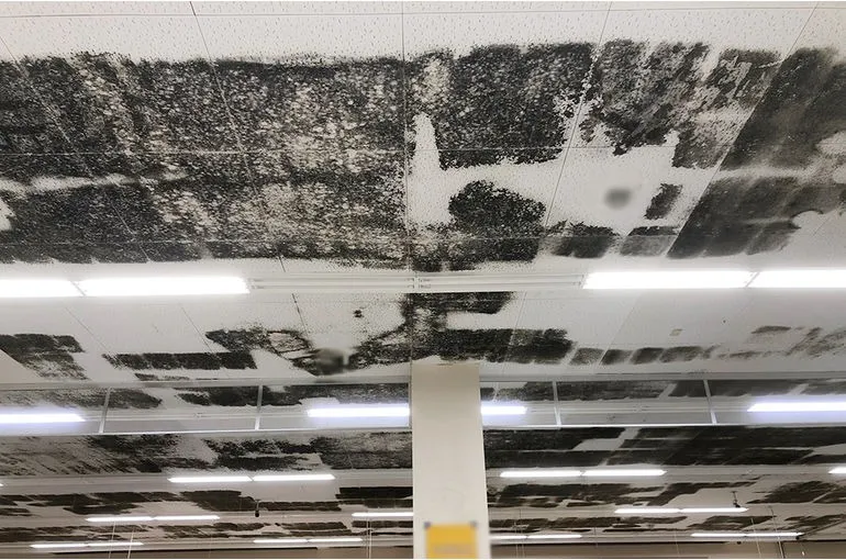 秋田県のスーパー