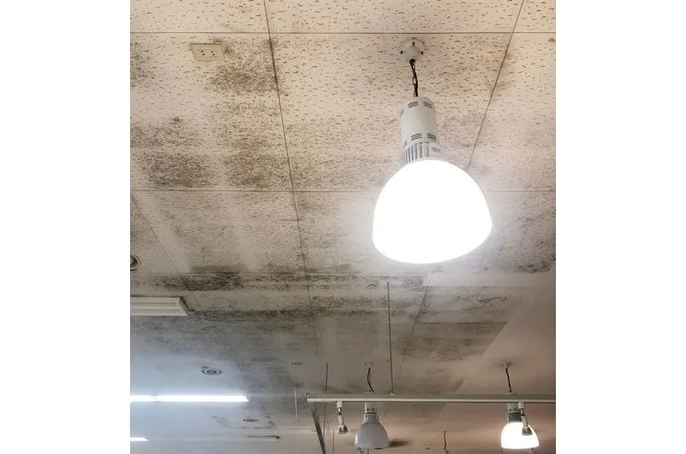 青森県のスーパー