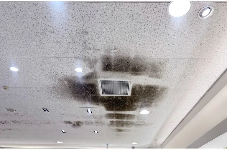 大阪府のスーパー