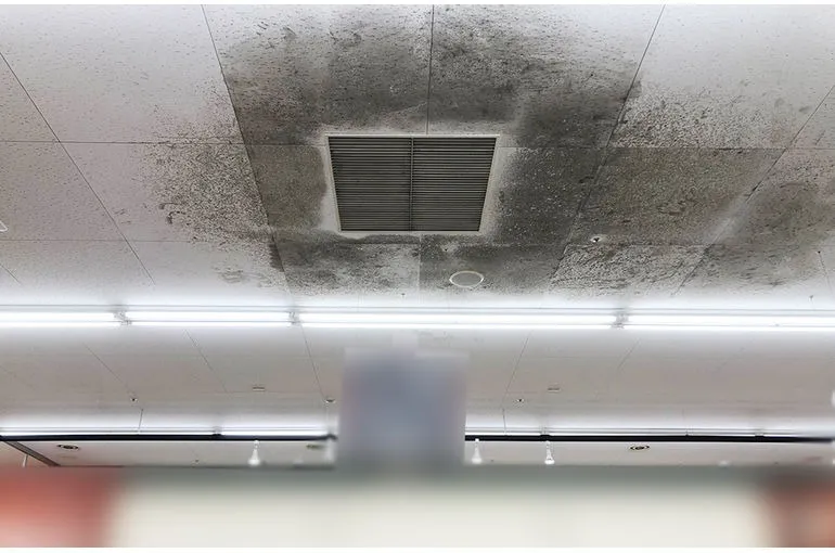 青森県のスーパー