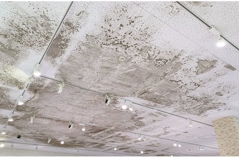 福岡県のスーパー