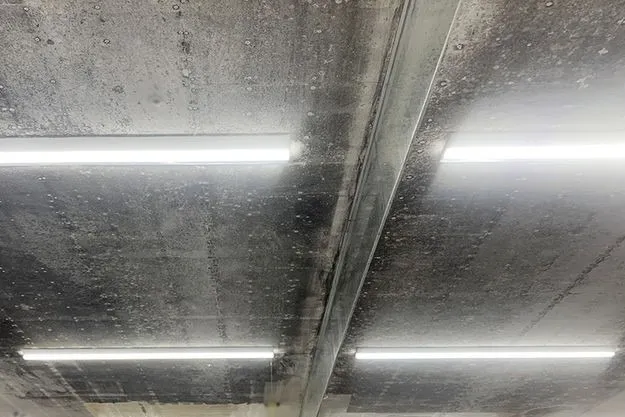 福岡県のスーパー