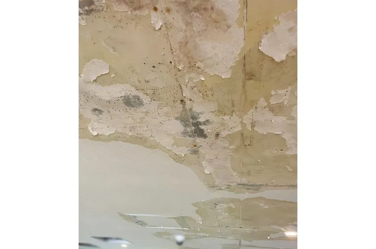 鹿児島県のスポーツジム