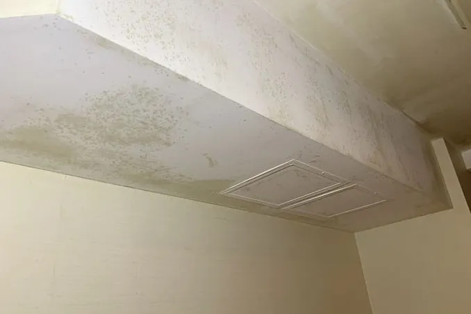 東京都のマッサージ店