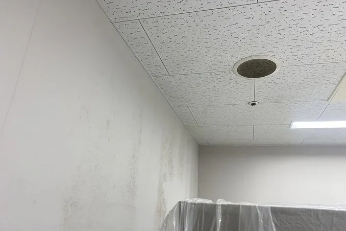 近畿地方の水族館