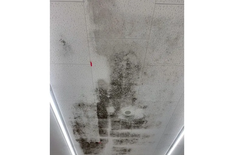 宮崎県のスーパー