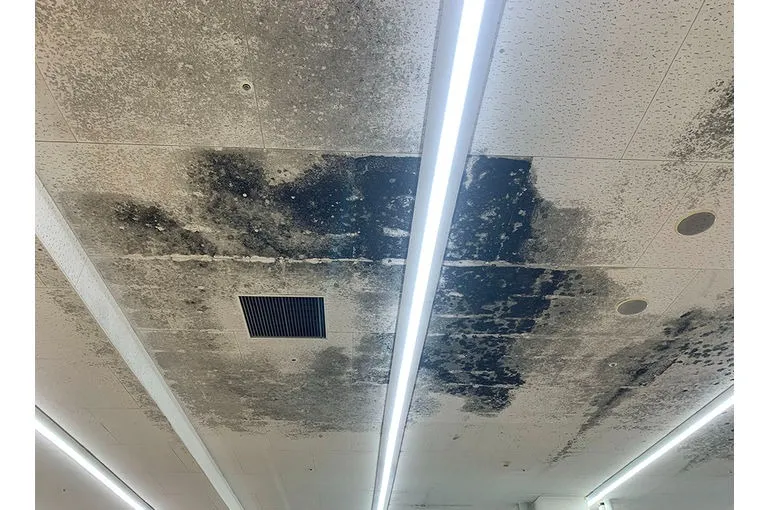 福岡県のスーパー