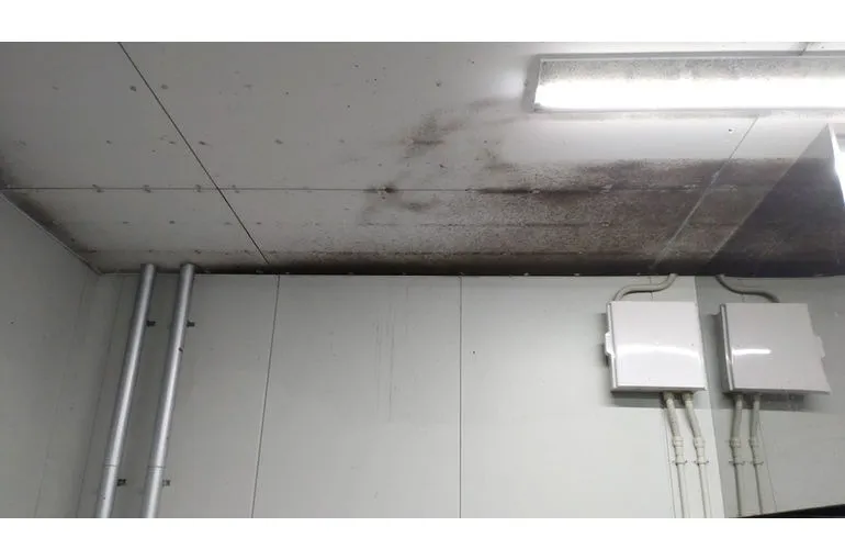 宮崎県の食品加工工場