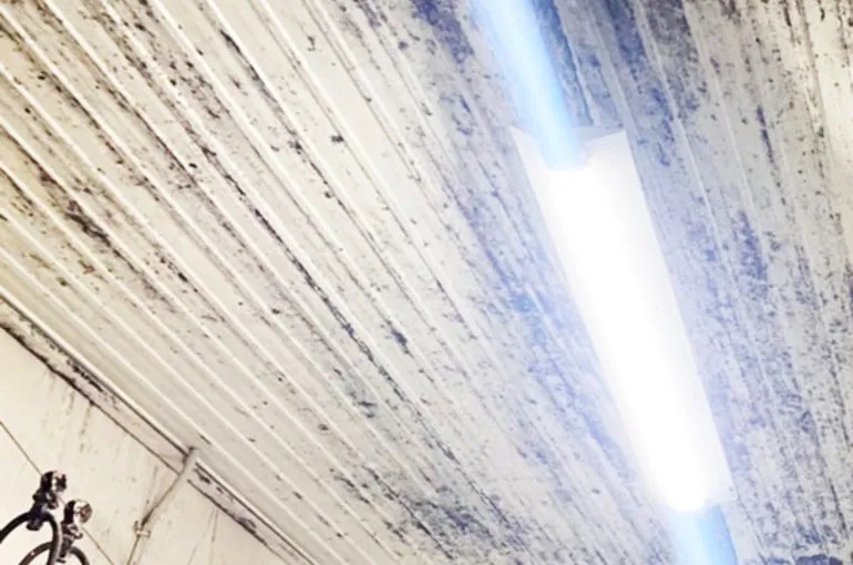 広島県の食品工場