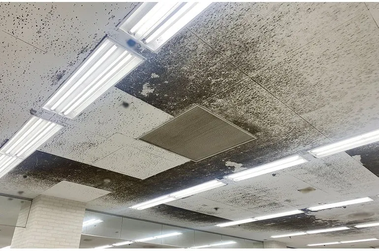 京都府のショッピングセンター