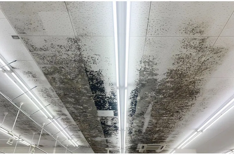 高知県のドラッグストア