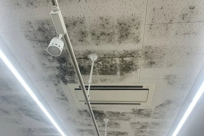 熊本県のスーパー