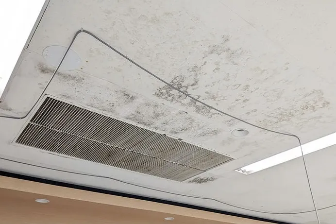 大阪府のスーパー