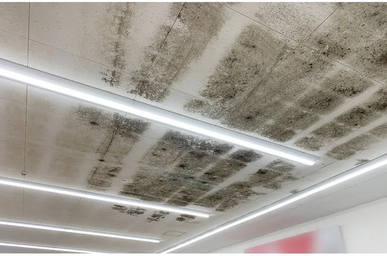 千葉県のドラッグストア