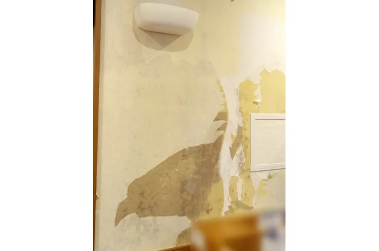 宮崎県の飲食店